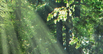 企业做APP开发的重要性,西安app开发(图1) 1.png