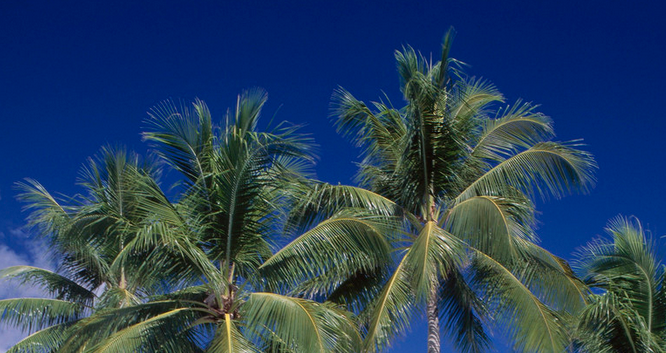 企业网站建设怎么做?(图1) 微信截图_20230306181542.png