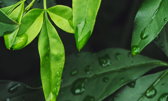 宝鸡网站开发的发展趋势(图1) 微信截图_20230403192604.png