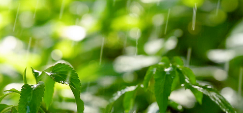 延安网站建设中交互设计的重要性(图1) 微信截图_20230403192604.png