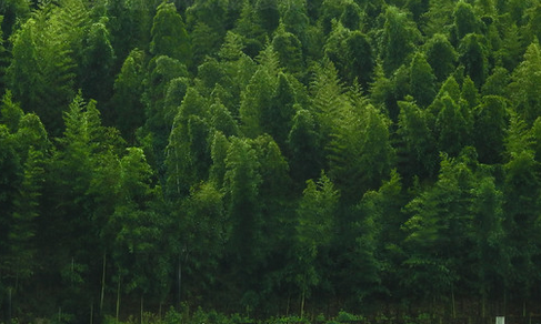 武威网站建设:培训行业网站制作的基本流程(图1) 微信截图_20230508203127.png