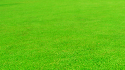 定制网站制作和模版站的区别(图1) 微信截图_20230712075144.png